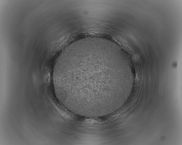 X0000090610703200707241107