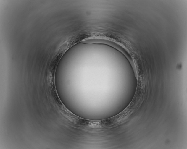 X0000090610705200707241107