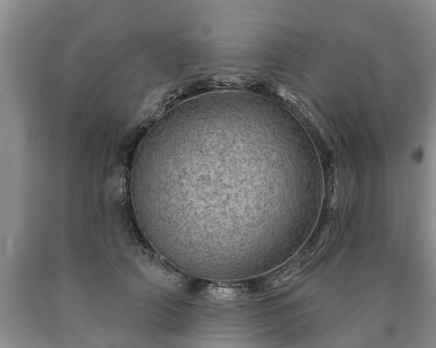 X0000090610706200707241107