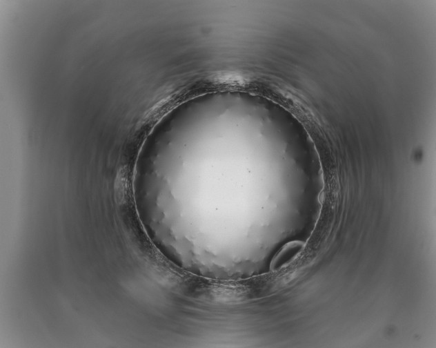 X0000090610707200707241107