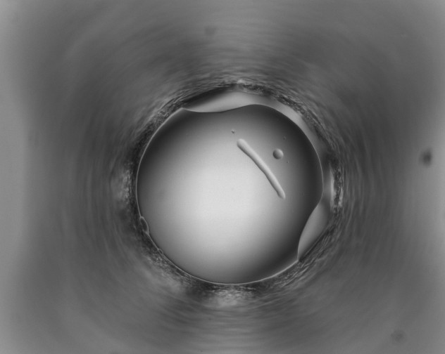 X0000090610708200707241107