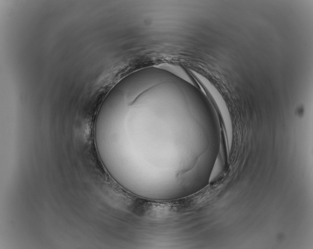 X0000090610709200707241107