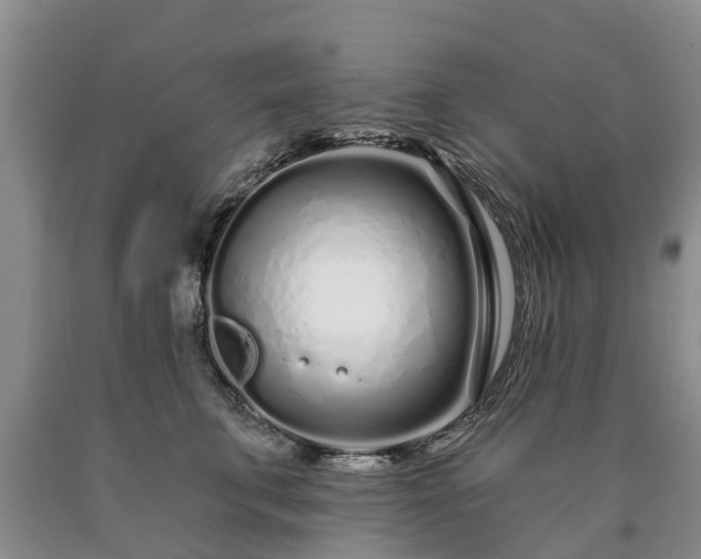 X0000090610711200707241107