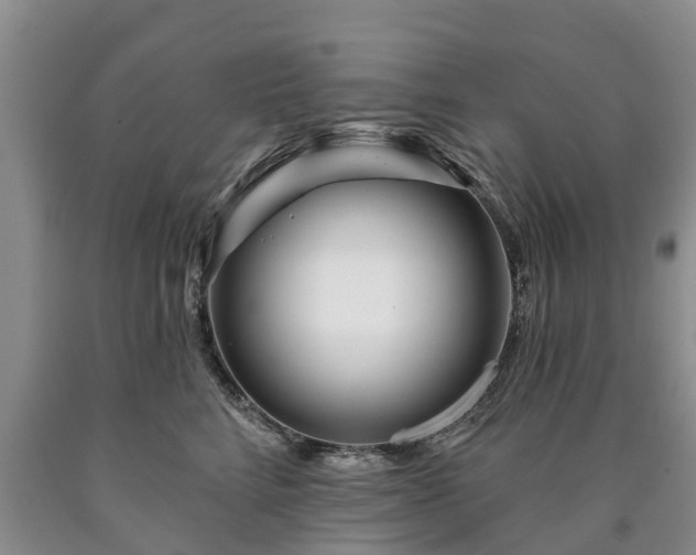 X0000090610712200707241107