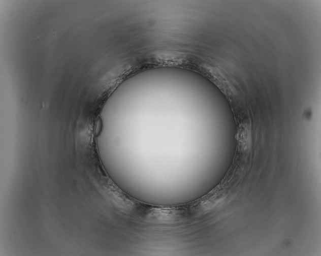 X0000090610713200707241106