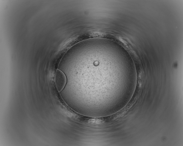 X0000090610714200707241106