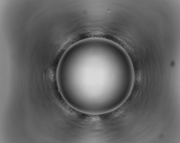 X0000090610715200707241106