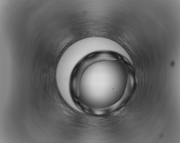 X0000090610716200707241106