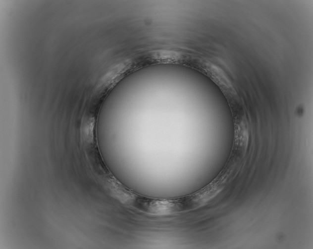 X0000090610717200707241106