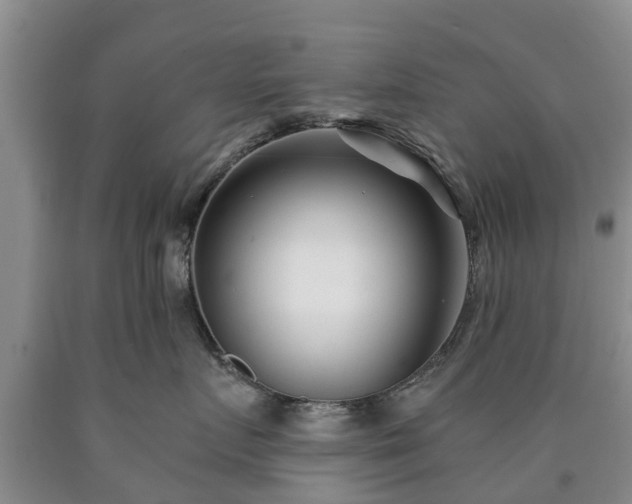 X0000090610719200707241106