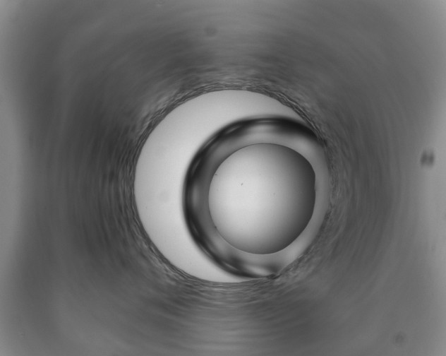 X0000090610720200707241106