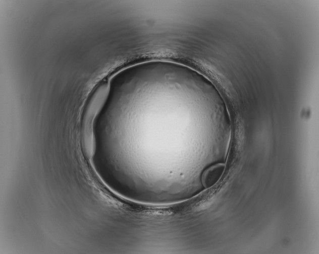 X0000090610721200707241106