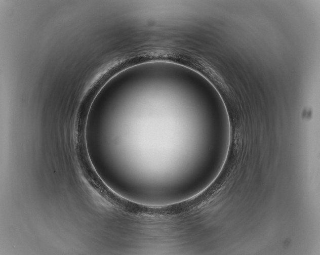 X0000090610722200707241106