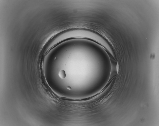 X0000090610723200707241106