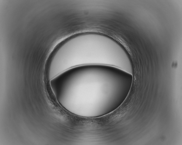 X0000090610724200707241106