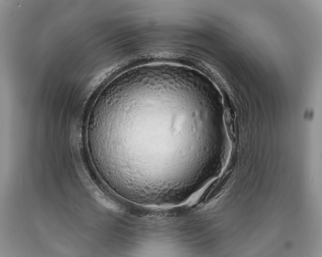 X0000090610725200707241106