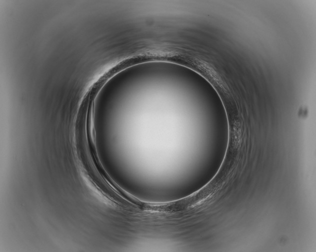 X0000090610726200707241106