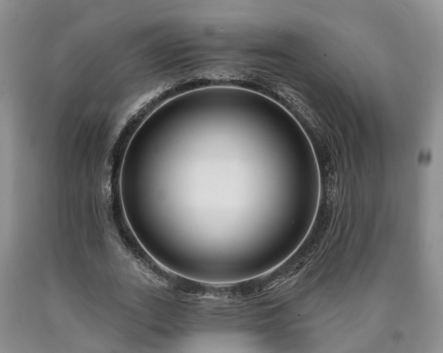 X0000090610727200707241106