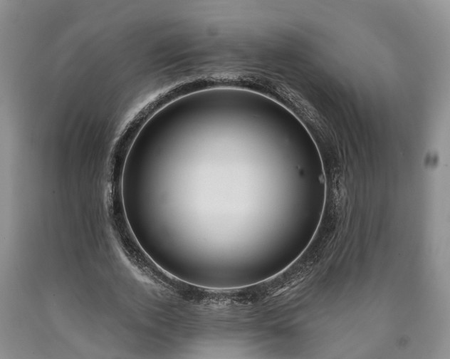 X0000090610728200707241106