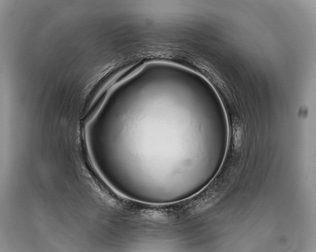 X0000090610729200707241106