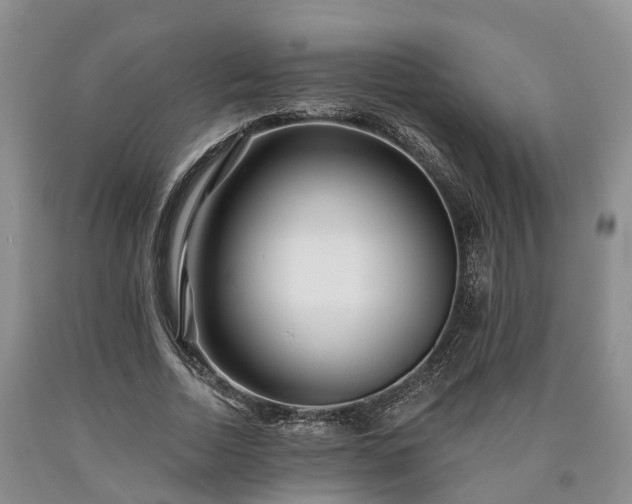 X0000090610730200707241106