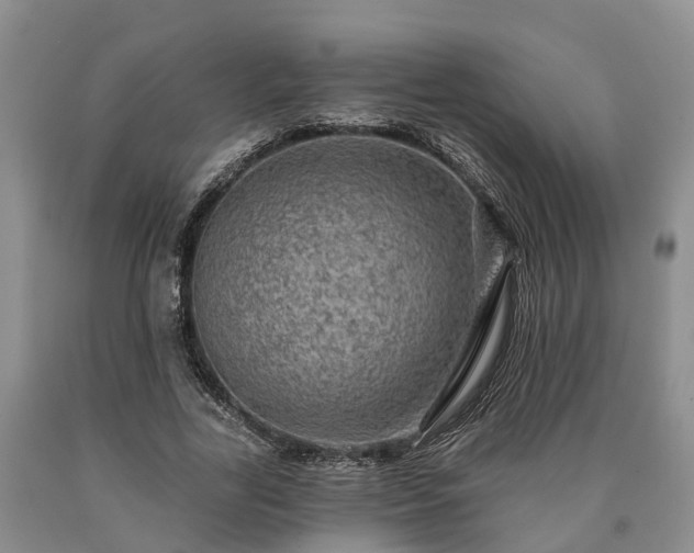 X0000090610731200707241106