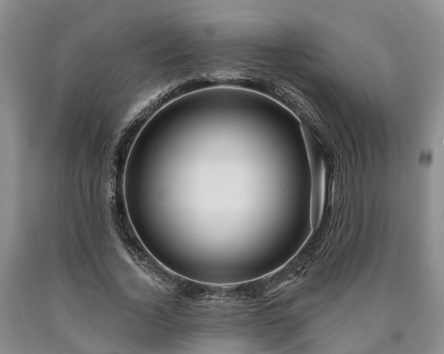 X0000090610732200707241106