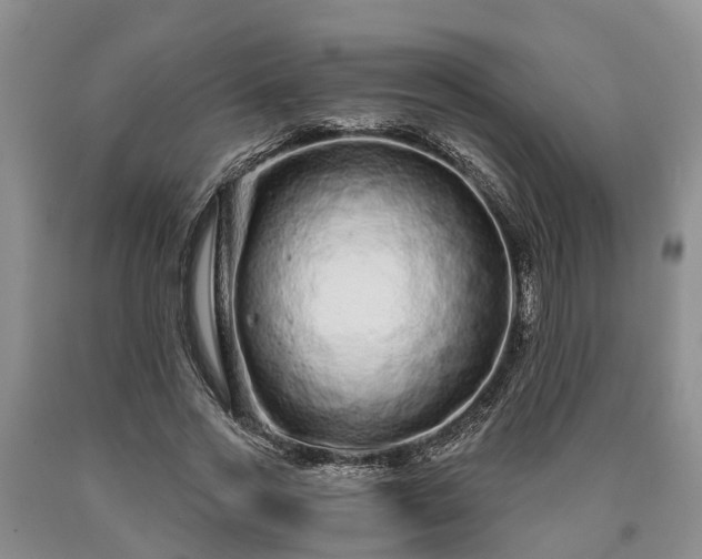 X0000090610733200707241106