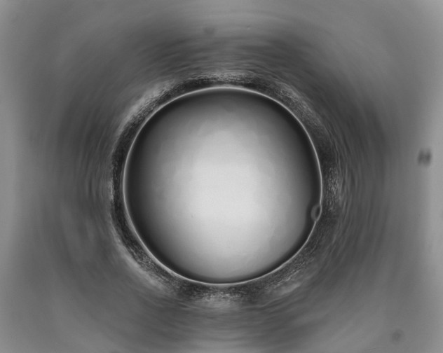 X0000090610734200707241106