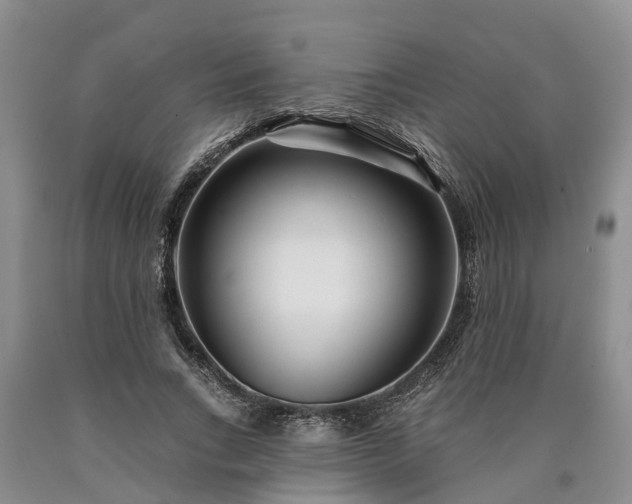 X0000090610735200707241106