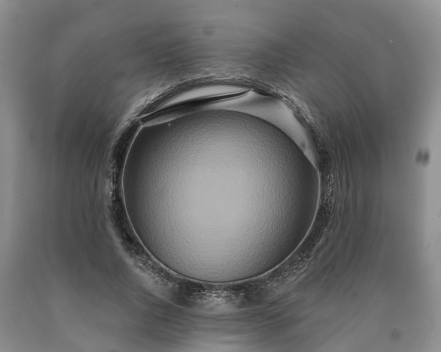 X0000090610736200707241106