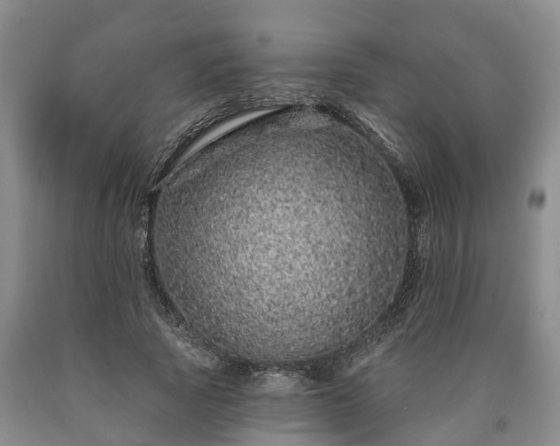 X0000090610737200707241106