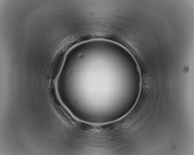 X0000090610738200707241106