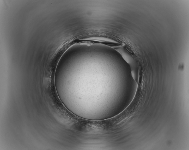 X0000090610739200707241106