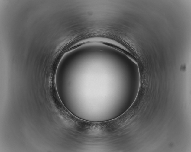 X0000090610740200707241106