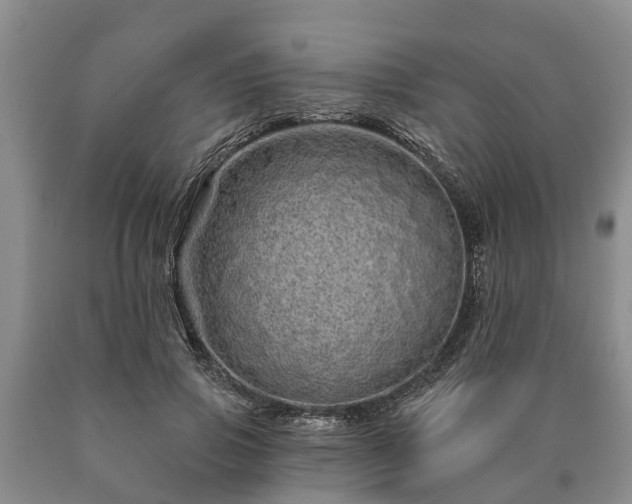 X0000090610741200707241106