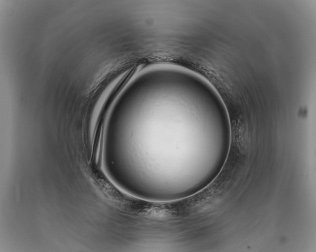 X0000090610742200707241106