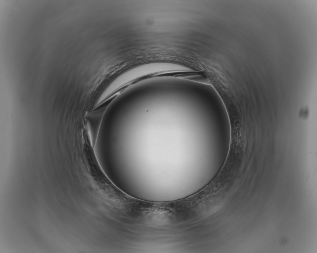 X0000090610743200707241106