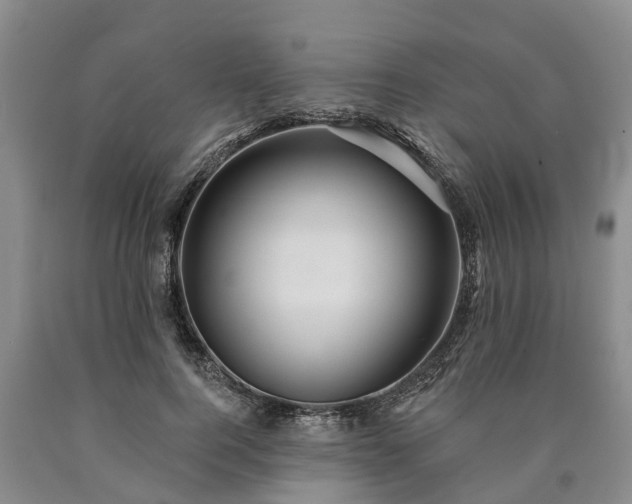 X0000090610744200707241106