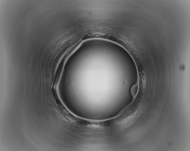 X0000090610745200707241106