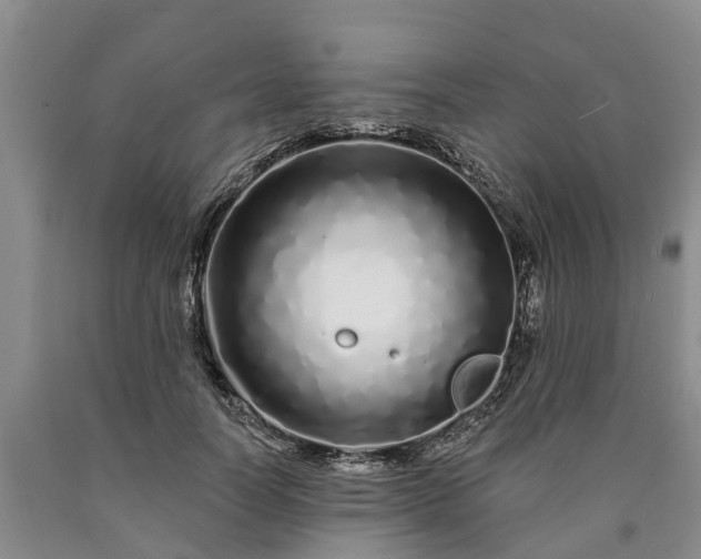 X0000090610746200707241106