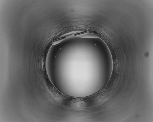 X0000090610747200707241106