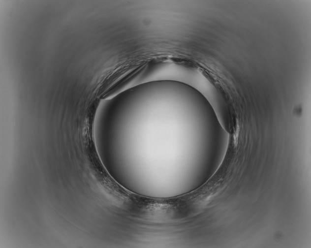 X0000090610748200707241106