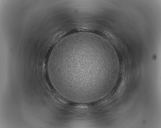 X0000090610749200707241106