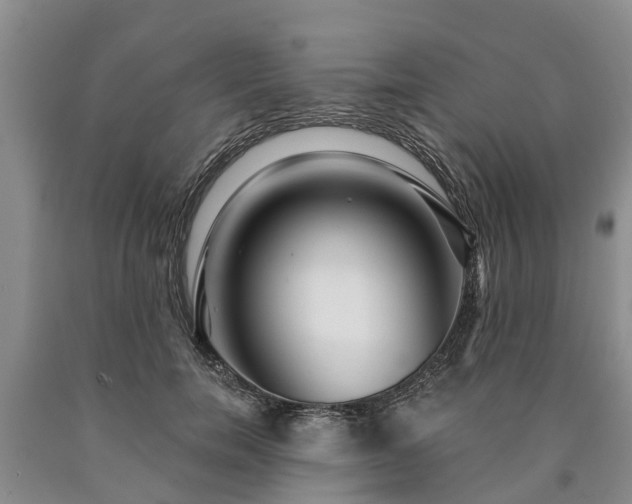 X0000090610750200707241106