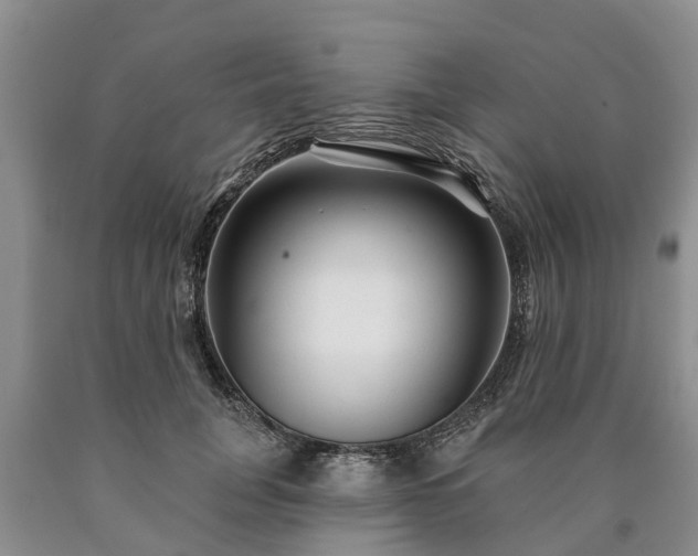 X0000090610751200707241106