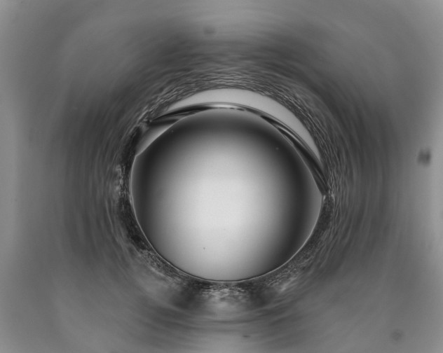 X0000090610752200707241106