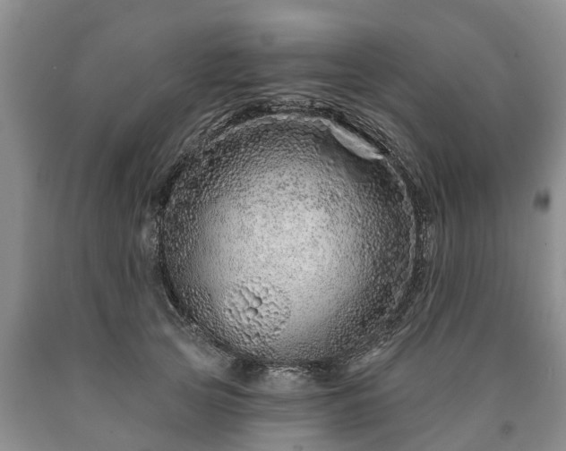 X0000090610753200707241106