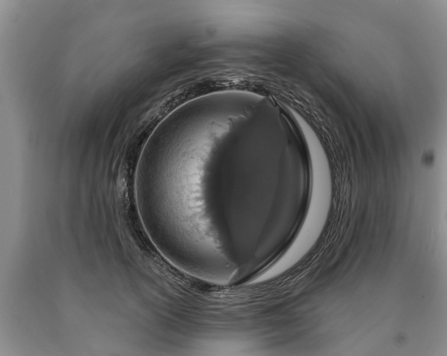 X0000090610754200707241106