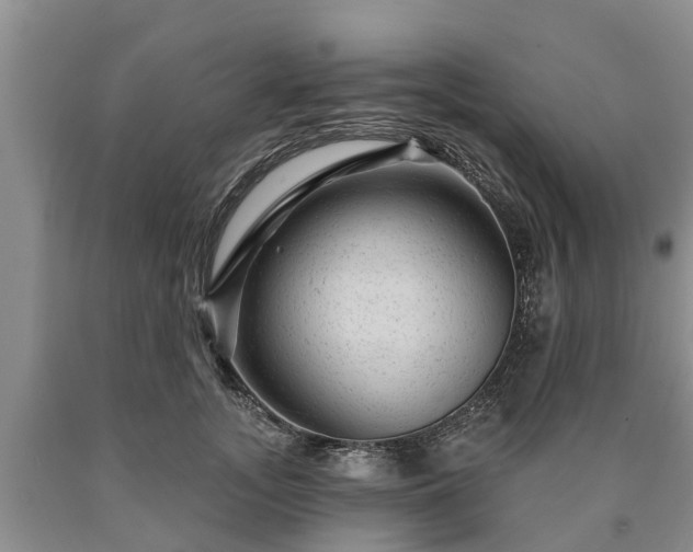 X0000090610755200707241106